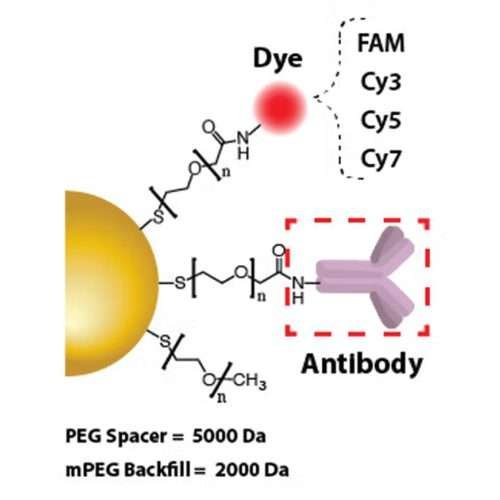Gold Nanoparticles - Anti-IgG Antibody