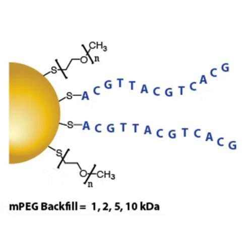 Gold Nanoparticles - ssDNA