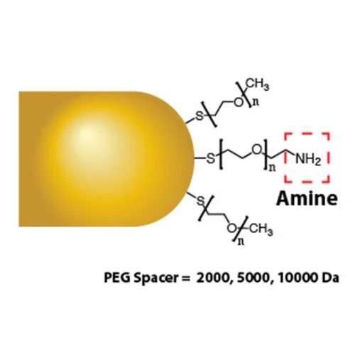 Gold Nanorods - Amine
