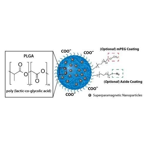 PLGA Nanoparticles, Magnetic, Methoxy PEG, 10 mg