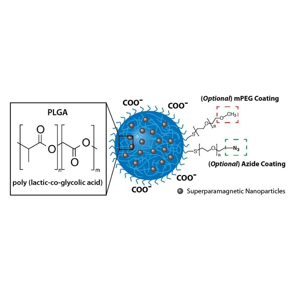 PLGA Nanoparticles, Magnetic, Carboxyl, 50 mg
