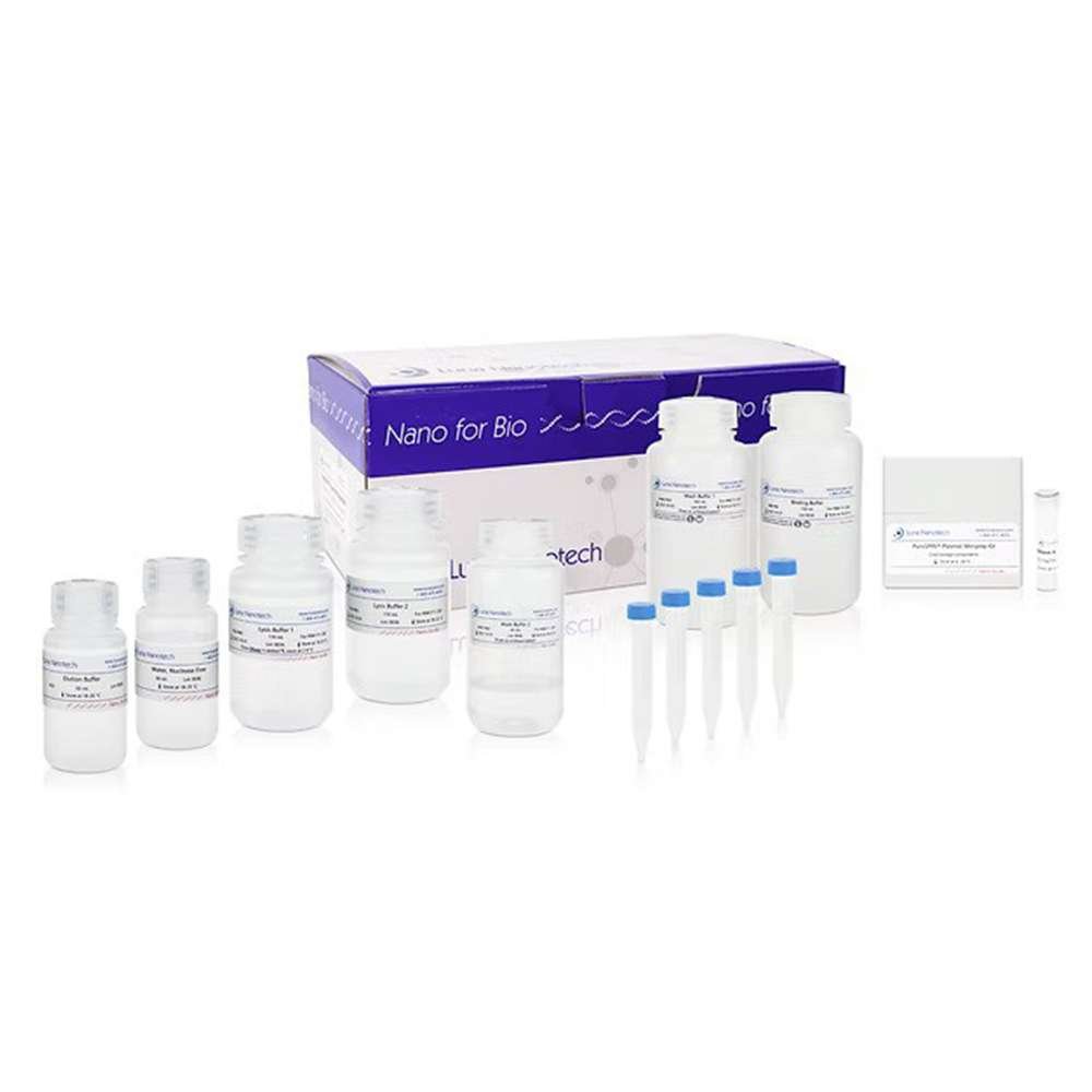 PuroSPIN™ Endo-Free Plasmid MIDIprep Kit, 50 Preps