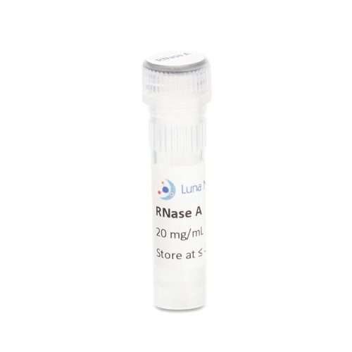 RNase A, DNase Free, 20 mg/mL (>70U/mg), 3 mL
