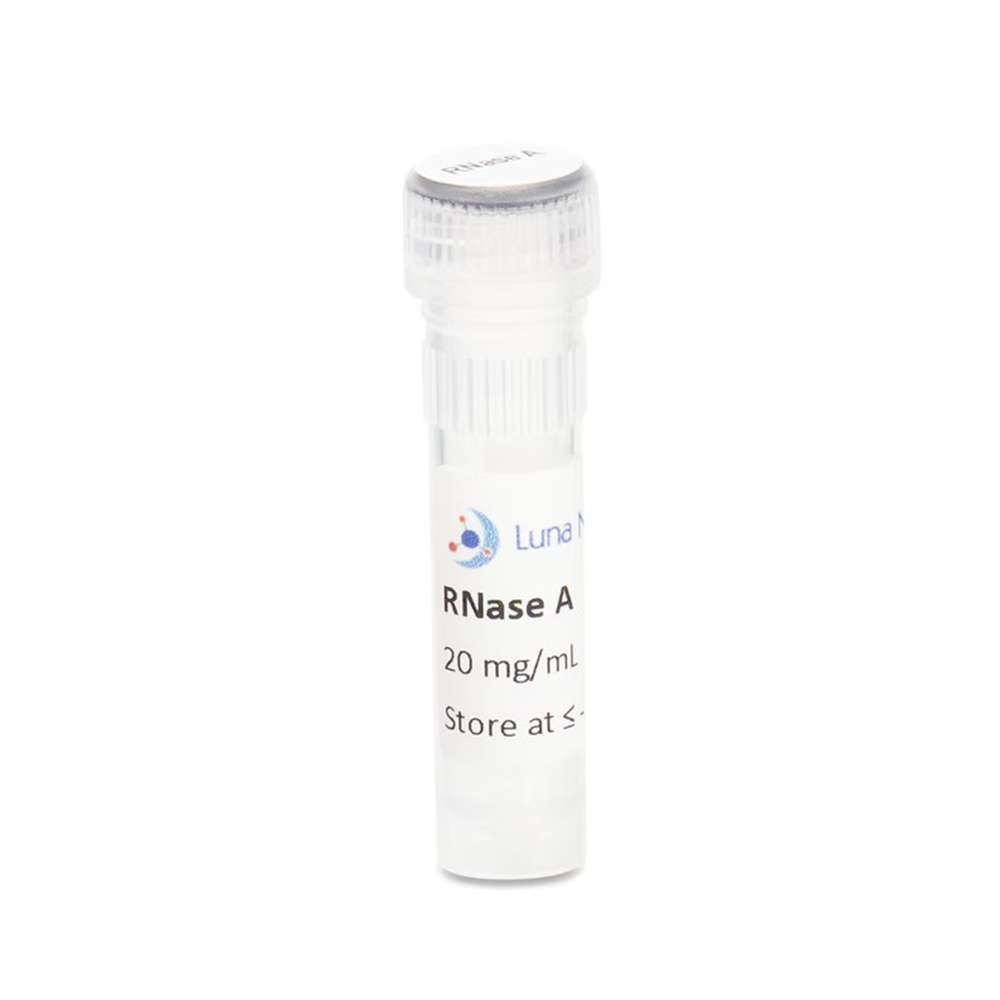 RNase A, DNase Free, 20 mg/mL (>70U/mg), 48 mL
