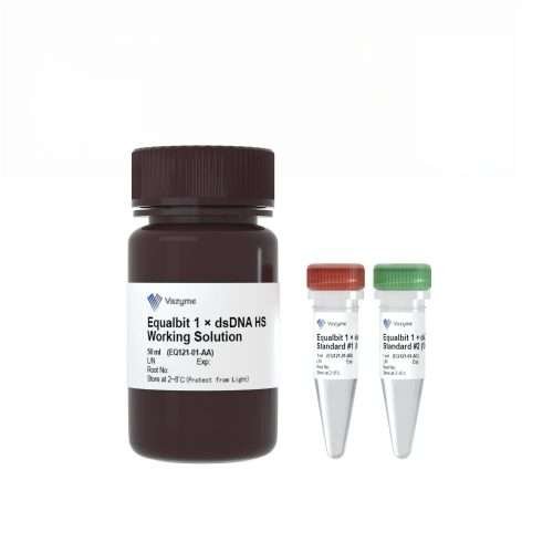 Equalbit 1x dsDNA HS Assay Kit for high sensitivity double-stranded DNA quantification