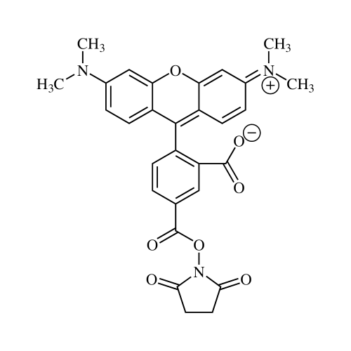 5-Carboxytetramethylrhodamine NHS ester, single isomer (5-TAMRA-SE)
