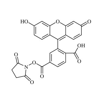 6-Carboxyfluorescein NHS Ester (6-FAM-SE)