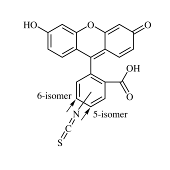 Fluorescein 5(6) Isothiocyanate (FITC)