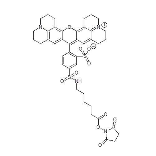 Texas Red NHS ester single isomer – amine-reactive fluorescent dye for biomolecule labeling