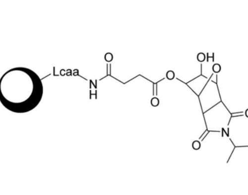 Universal support CPG