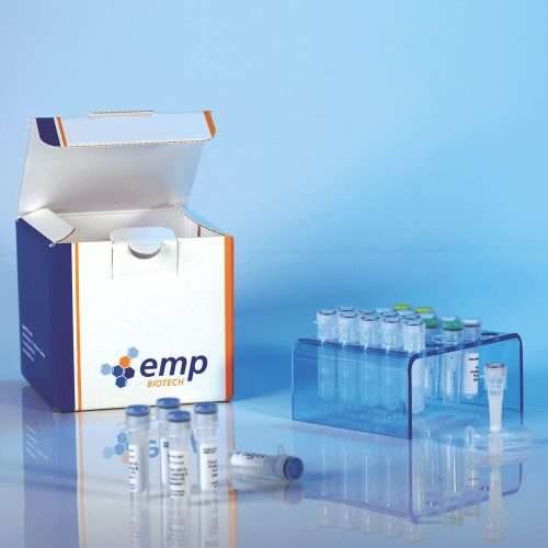 TurboTag antibody and protein labeling kit