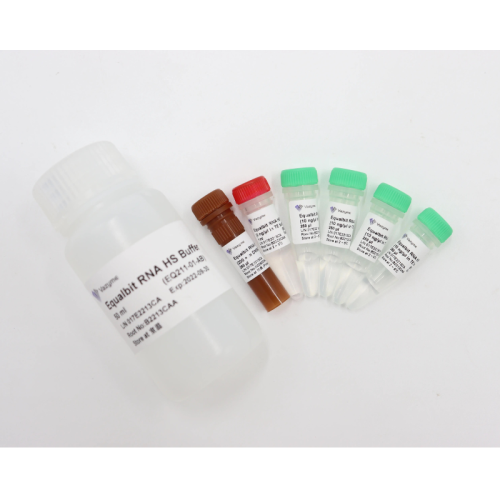 rna high sensitivity kit