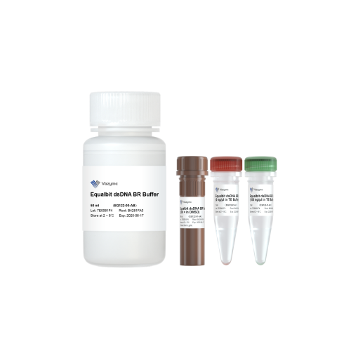 Equalbit dsDNA BR Assay Kit components for broad-range Qubit dsDNA quantification