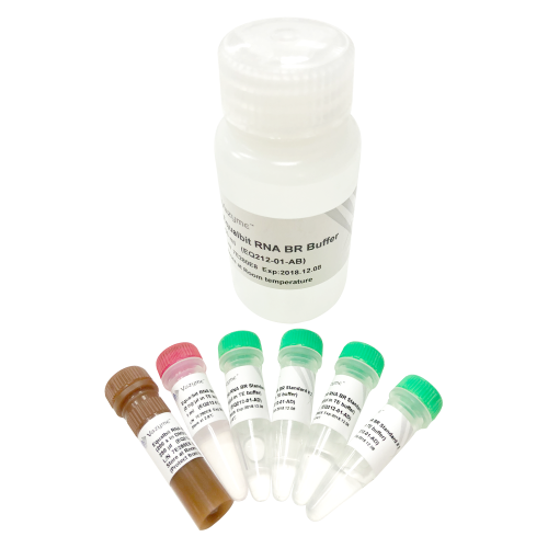 Equalbit RNA BR Assay Kit for broad range RNA quantification