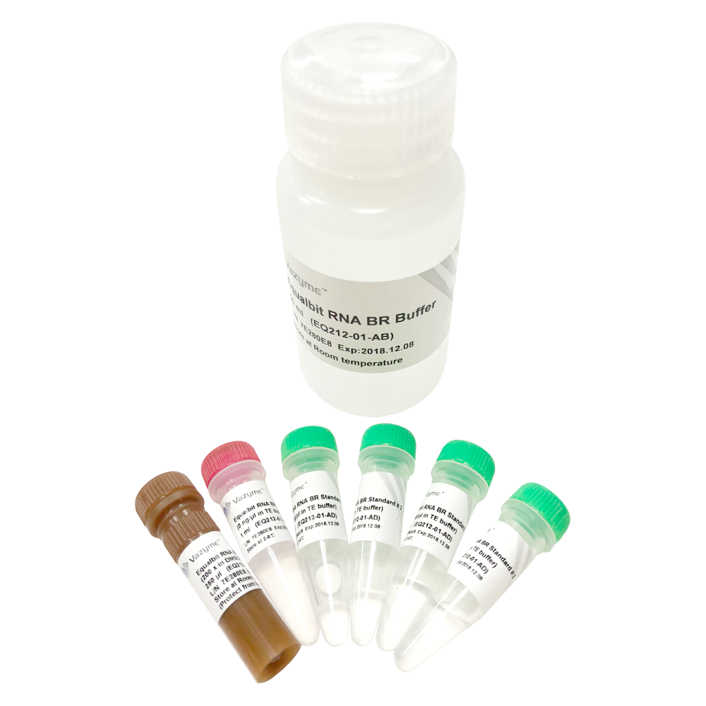 Equalbit RNA BR Assay Kit for broad range RNA quantification