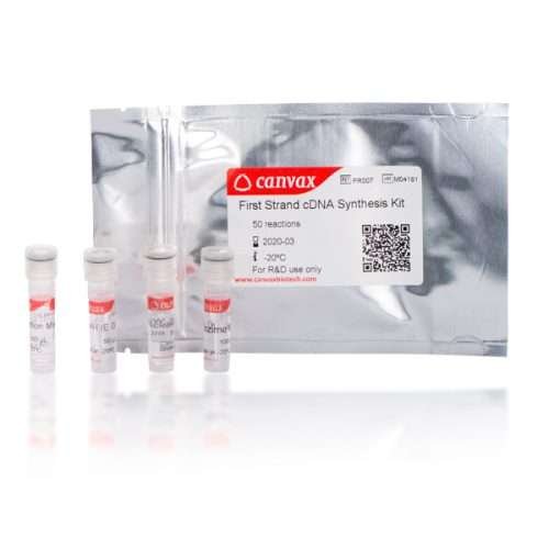 cdna synthesis kit