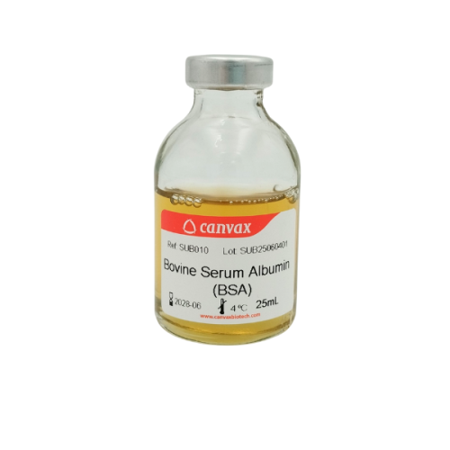 bovine serum albumin