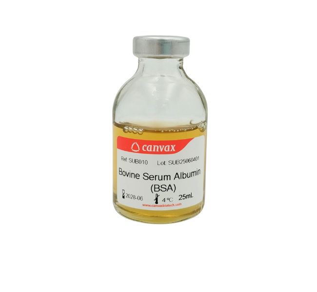 bovine serum albumin